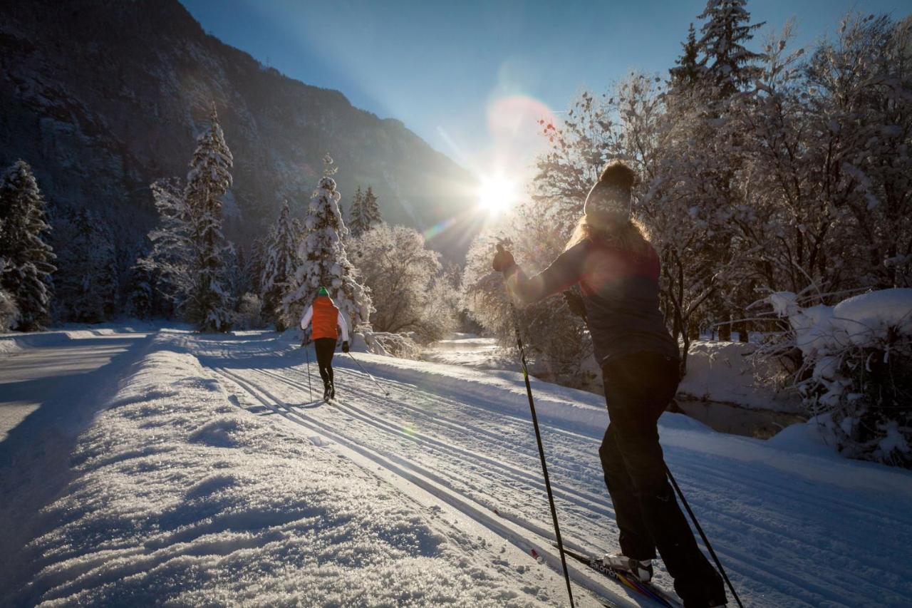 Chalet Happy Family, Secluded Location, 15 Min To Salzburg And Just Short To T Lakes Sound Of Music, Bbq&Bikes&Sunbeds For Free, Up To 14P Golling an der Salzach Eksteriør bilde